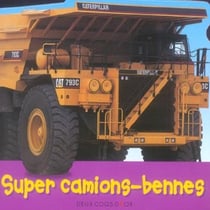Camions Bennes