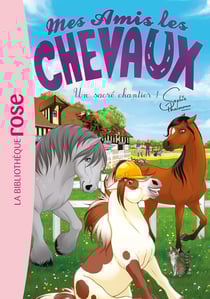 Mes amis les chevaux 31 - Un sacré chantier !