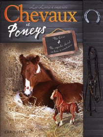 Chevaux et poneys