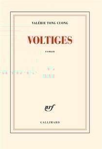 Voltiges