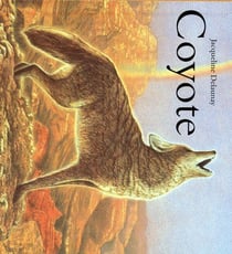Coyote