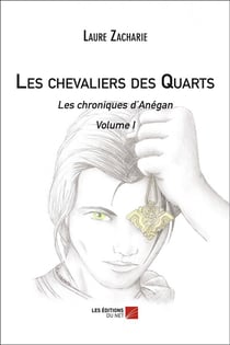 Les chevaliers des quarts t.1 - les chroniques d'Anégan