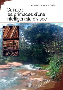 Guinée - les grimaces d'une intelligentsia divisée