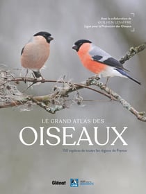 Le grand atlas des oiseaux : 150 espèces de toutes régions de France