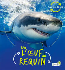 De l'oeuf au requin