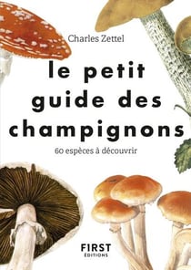Le petit guide pour reconnaître les champignons