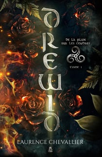 Drewid, tome 1 : De la pluie sur les cendres