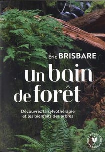 Un bain de forêt - découvrez le pouvoir de la sylvothérapie et les bienfaits des arbres