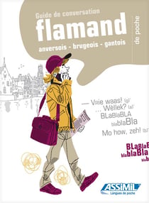 Guides de conversation : flamand de poche