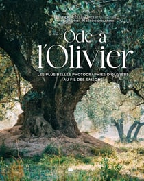 Ode a l'olivier : Les plus belles photographies d'oliviers au fil des saisons
