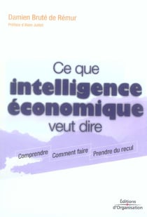 Ce que intelligence economique veut dire - comprendre - comment faire - prendre du recul