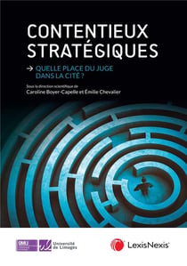 Contentieux stratégiques : Quelle place du juge dans la cité ?