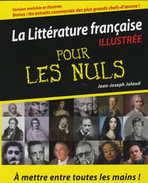 La litterature francaise pour les nuls version luxe augmentee et illustree