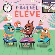 Le nouvel élève