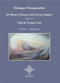 De blancs oiseaux boivent la lumière - nuit de grand vent