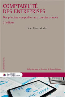 Comptabilité des entreprises : Des principes comptables aux comptes annuels (3e édition)