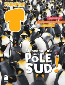 Bienvenue au pole sud !