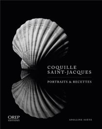 Coquille saint-jacques : portraits et recettes