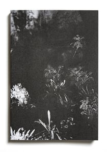 Le jardin d'après