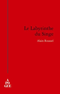 Le labyrinthe du singe