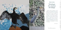 Tétralogie des oiseaux du halage