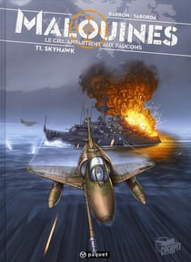 Malouine, le ciel appartient aux faucons Tome 1 - Skyhawk