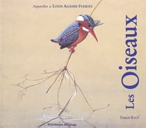 Oiseaux - aquarelles de louis agassiz fuertes