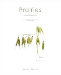 Prairies - papillons et plantes champêtres de nos contrées
