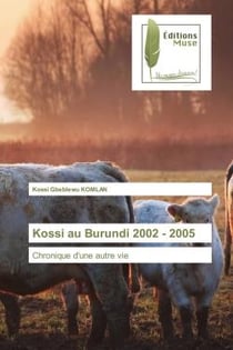 Kossi au Burundi 2002 - 2005 : Chronique d'une autre vie