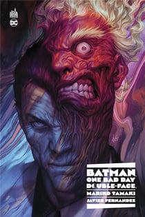 Batman : one bad day : double-face