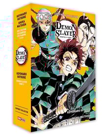 Demon slayer Tome 9 : + roman tome 4