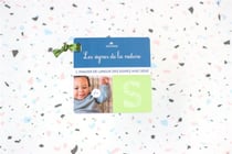 Les signes de la nature - imagier de langue des signes avec bebe