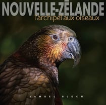 Nouvelle-Zélande : l'archipel aux oiseaux