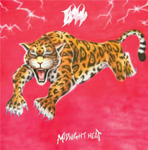 Midnight Heat