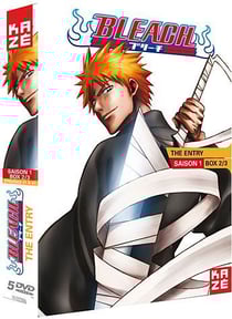 Bleach - Saison 1 : Box 2/3 : Soul Society : The Entry