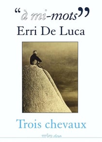 "à mi-mots" : Erri de Luca