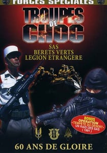 Troupes de choc : sas, berets verts, legion etrangere, 60 ans de gloire