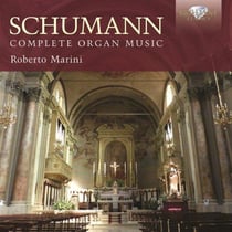 Musique pour orgue (intégrale)