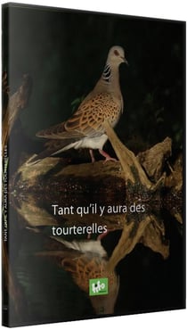 Tant qu'il y aura des tourterelles