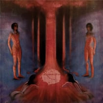 The Chaos In Veins - édition;de luxe