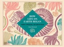 How life on earth began fossils  dinosaurs  the first humans