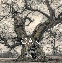 Oak from seed to ancient tree /anglais