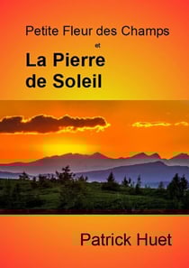 Petite fleur des champs et la pierre de soleil