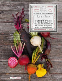 Le meilleur du potager