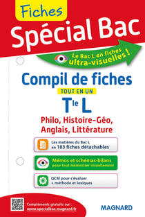 Fiches spécial bac : philo, littérature, histoire-géo, anglais - terminale L