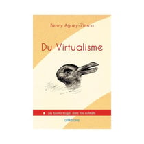 Du virtualisme