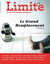 Revue limite n.6 : le grand remplacement (le vrai !)