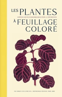 Les plantes à feuillage coloré : les espèces les plus remarquables pour la décoration
