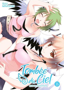 Tombée du ciel Tome 16