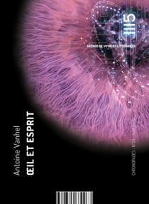 Oeil et esprit